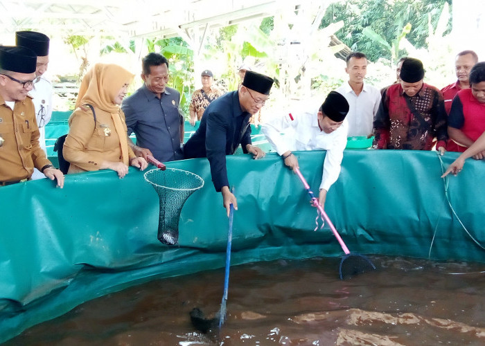Sukses Budidaya Ikan, Desa Marta Jaya Ditargetkan Jadi Kampung Perikanan   