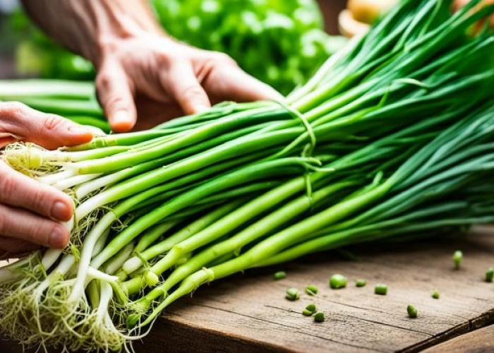 Cara Menanam Daun Bawang dari Batang