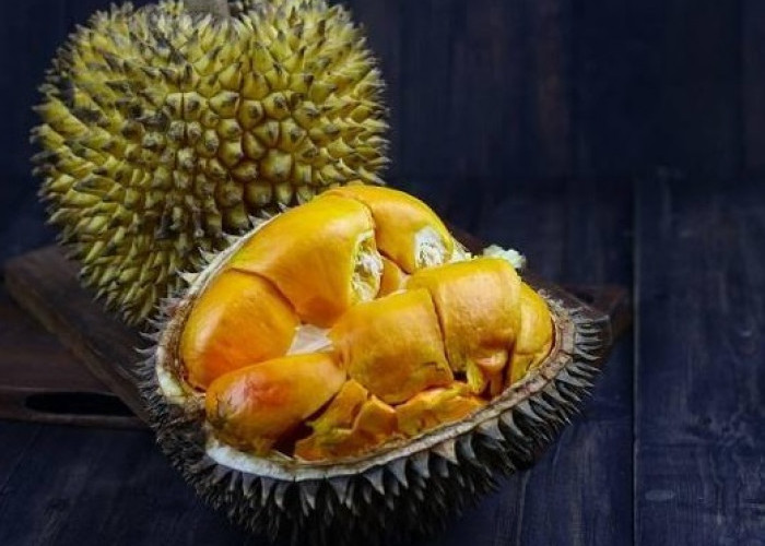 Hati-Hati! Ini Dia Dampak Negatif Jika Terlalu Banyak Makan Durian