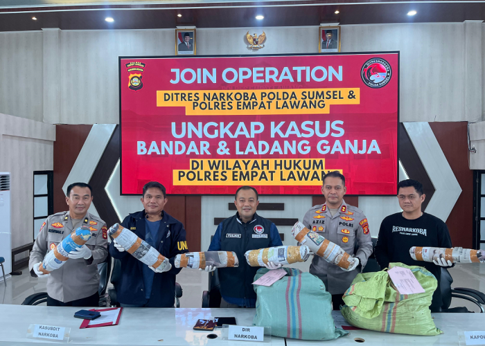 Ladang Ganja seluas 20 Hektar di Empat Lawang Digrebek, 220 Kg Ganja dan Bandar Utama Ditangkap