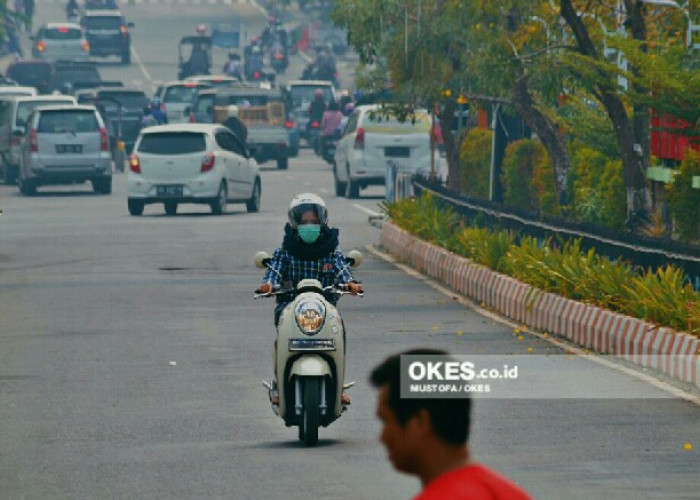 Semua Kecamatan di OKU Berpotensi Karhutlah, Kecuali Kecamatan Ini