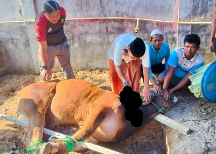 Lapas Kelas IIB Martapura Gelar Salat Iduladha hingga Sembelih Hewan Kurban