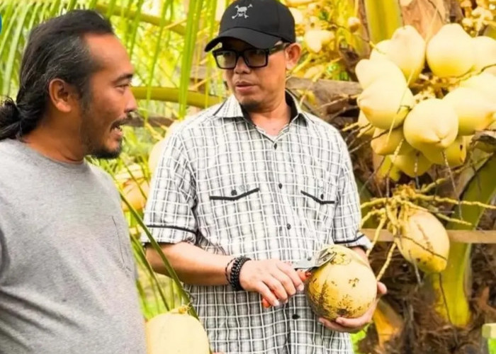Makin Serius! Bupati OKU Siapkan Revolusi Sektor Pertanian