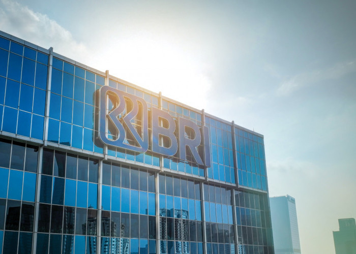 Langkah Akseleratif Transformasi BRI Tuai Dukungan Komisi XI DPR RI