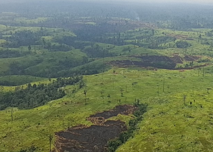 Karhutla di OKU, Terjadi di 2 Titik Dalam Sepekan