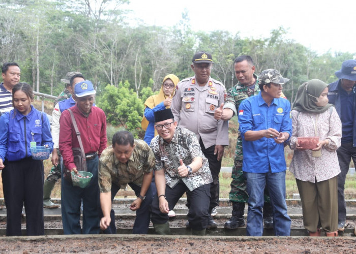 Produksi Bawang Merah 14 Ton, Dinas Pertanian OKU Diminta All Out