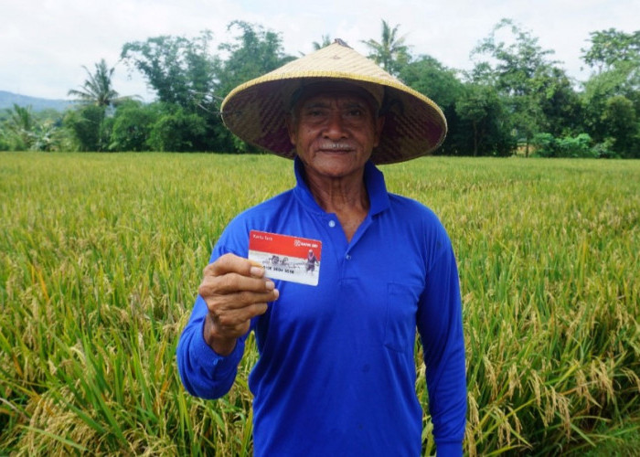 Punya 3 Cabang, AgenBRILink Ini Sukses Bantu Petani Dapatkan Akses Layanan Keuangan