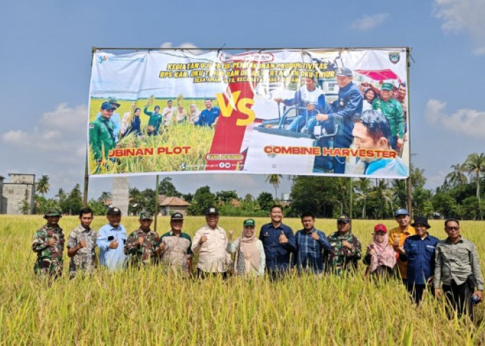 Lakukan Uji Petik dengan Metode Ubinan Plot dengan Combine Harvester