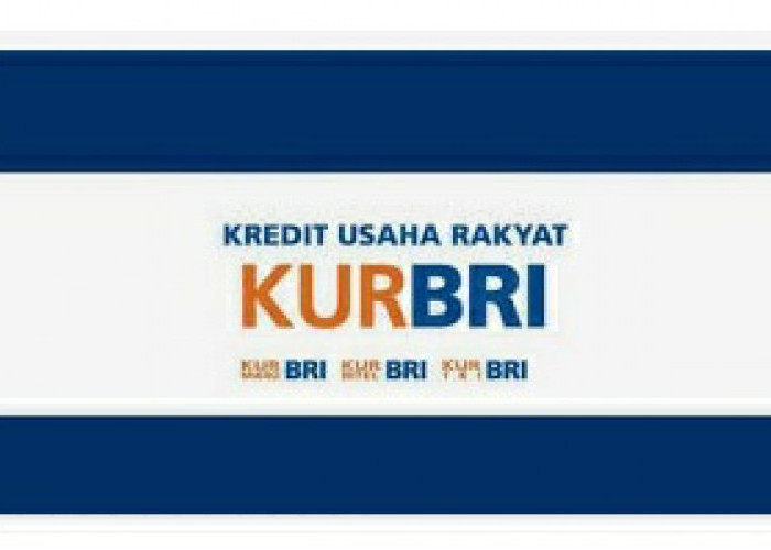 Lagi Ajukan KUR di Bank BRI,  Berikut Panduan Agar Pinjaman Bisa Cair