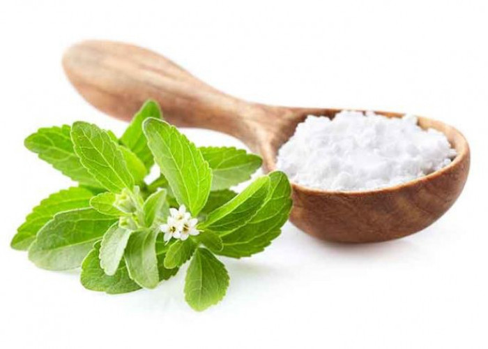 Gula Stevia dengan 0 Kalori Aman untuk Penderita Diabetes, Cocok untuk Menurunkan Berat Badan