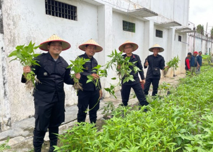 Perkuat Ketahanan Pangan, Panen Raya Sayur ke Enam Kali