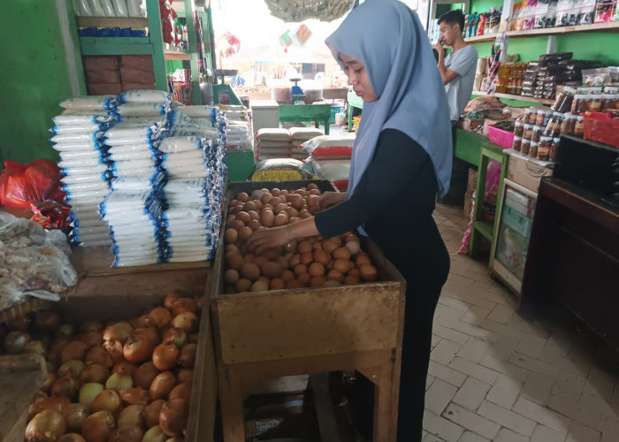 Harga Telur di Pasar Tradsional Baturaja Masih Stabil, Ayam Tinggi
