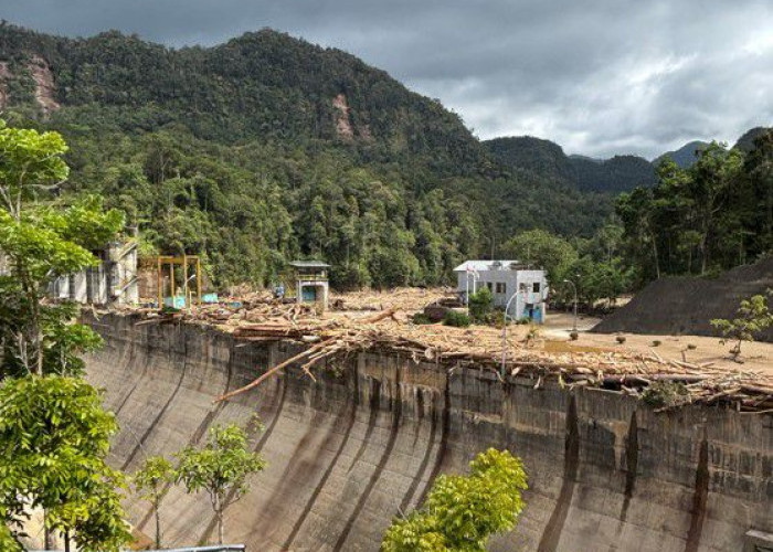 Bukan Sekadar Pembangkit Listrik Hijau, PLTA Sipansihaporas Cegah Banjir Kayu saat Bencana Sumatra