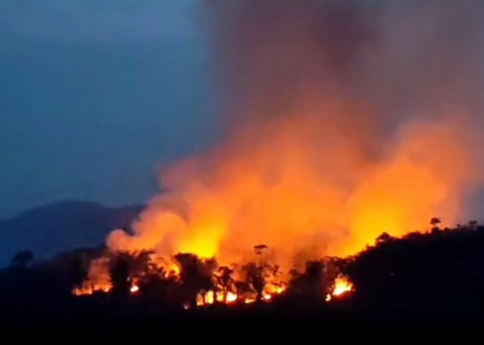 4 Orang Diduga Pembakar lahan di Musi Rawas Ditangkap 