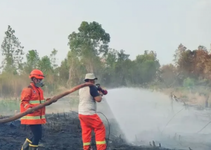 Puntung Rokok Hanguskan 10 Hektare Lahan di OKU