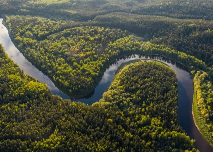 Kenapa Sungai Amazon Nggak Punya Jembatan? Intip Alasannya di Sini!