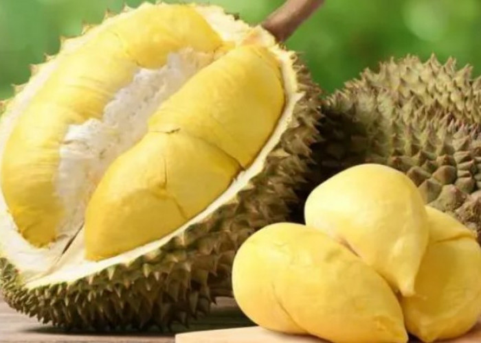 Cinta Durian? Ketahui Risiko Kesehatannya Sebelum Terlambat