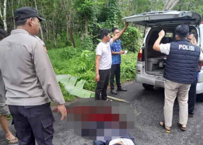 Pemuda di OKU Timur Tewas Tertimpa Pohon Tumbang Saat Hujan Deras