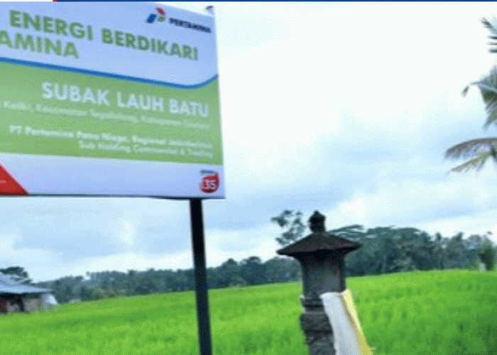 Mengunjungi Desa Energi Berdikari di Desa Keliki Ubud Bali,  Ada Energi Matahari yang Bisa 'Terangi' 1200 KK