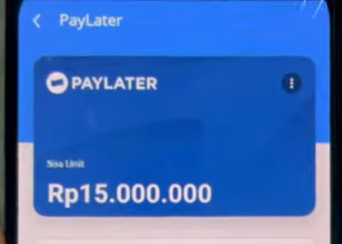  Cara Pinjam Uang di Aplikasi Dana Paylater kredit  Rp10 juta, Pasti Approve