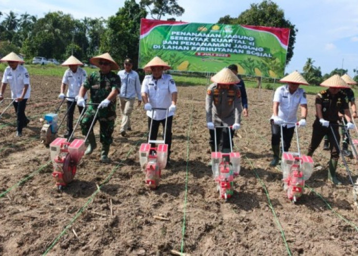 Polres OKU Timur Tanam Jagung Serentak Kuartal III, Targetkan 19 Ribu Hektare