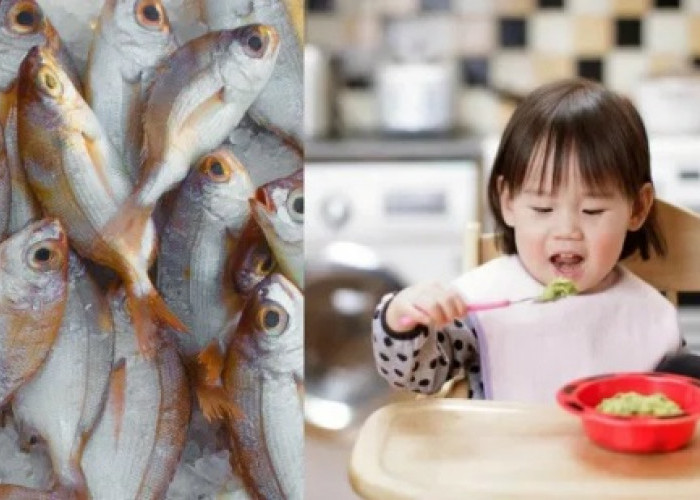 15 Ikan Terbaik untuk MPASI Bayi yang Penuh Nutrisi