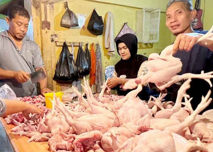 Harga Daging Ayam-Telur Tak Terbendung di Pasar Tradisional Sumsel Jelang Ramadan