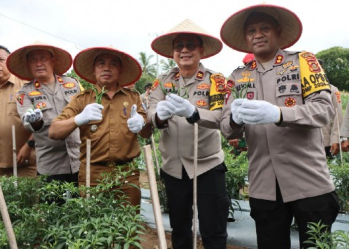 Gandeng Kelompok Tani, Kembangkan Program Ketahanan Pangan