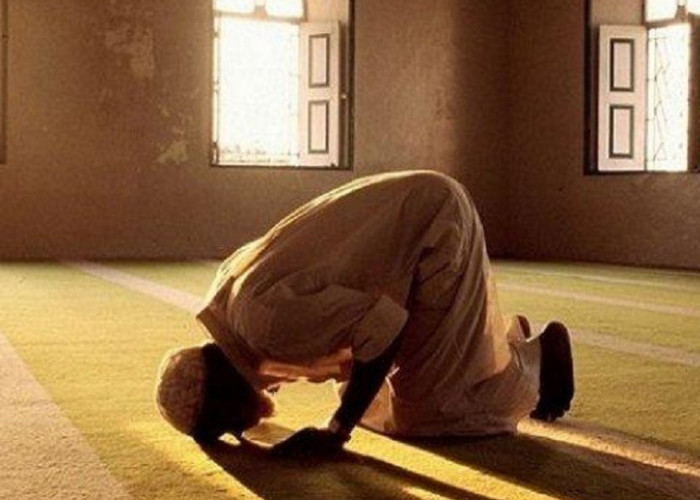 Doa Sholat Witir Lengkap dengan Arab dan Latin Berikut Artinya