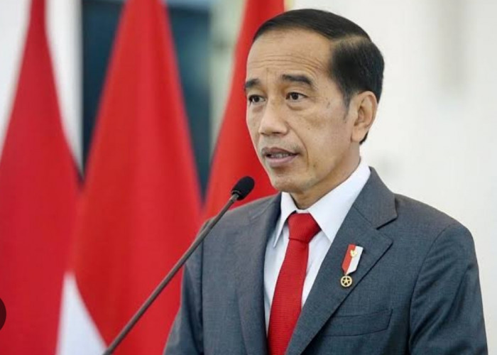 Presiden Jokowi Tunjuk 10 Pj Gubernur, Siapa di Sumsel?