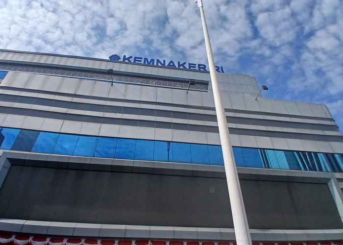 Program Magang Fresh Graduate di Pemerintah Wajib Transparan