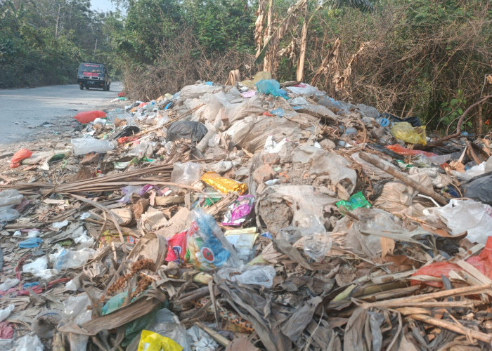 Jarang Dibersihkan Lagi, Sampah Rumah Tangga Masyarakat Menggunung di Pinggir Jalan 