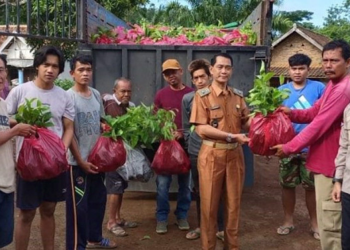 Cegah Longsor, Atlas OKU Selatan Tanam Ribuan Pohon 