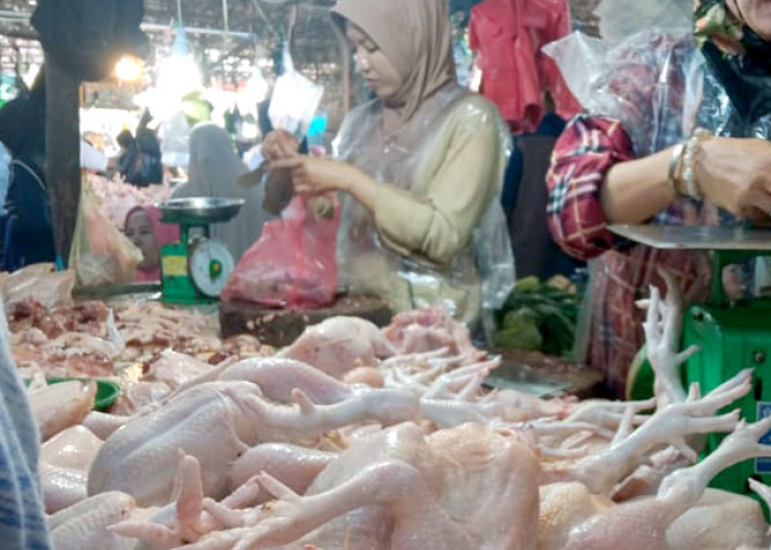 Harga Ayam dan Telur Turun Saat Libur MBG, Pasar Tradisional di Sumsel Mulai Bergairah