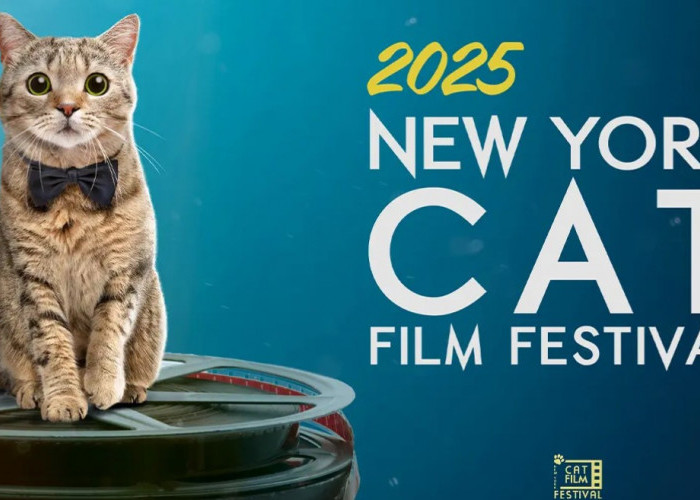 Festival Film Kucing New York 2025 Serunya Nonton Film Bareng Para Pecinta Kucing!