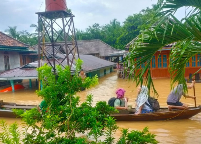 Banjir Meluas, Kini Melanda di Kecamatan Lubuk Batang dan Peninjauan
