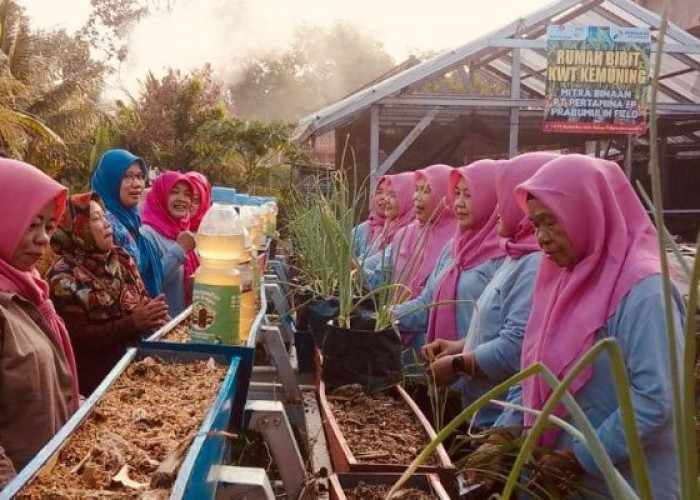 Tanah Tidur Disulap Jadi Kebun Produktif, Belanja Dapur Hemat Ratusan Ribu