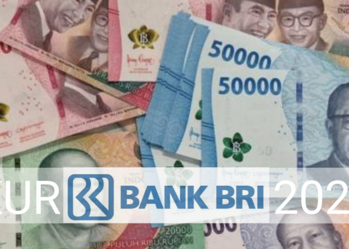 KUR BRI Pinjaman Tabel Angsuran Rp 1- 20 Juta Mulai Rp 83.333, Simak disini