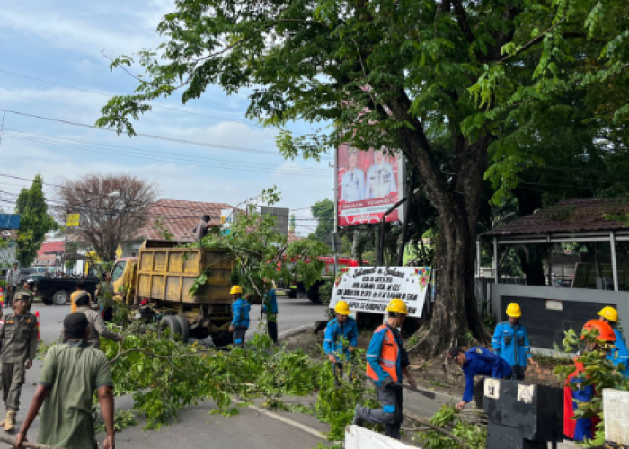 PLN ULP Muara Enim Tingkatkan Keandalan Listrik