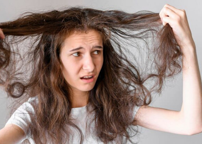 Mengatasi Rambut Kering dan Rontok dengan Solusi Alami