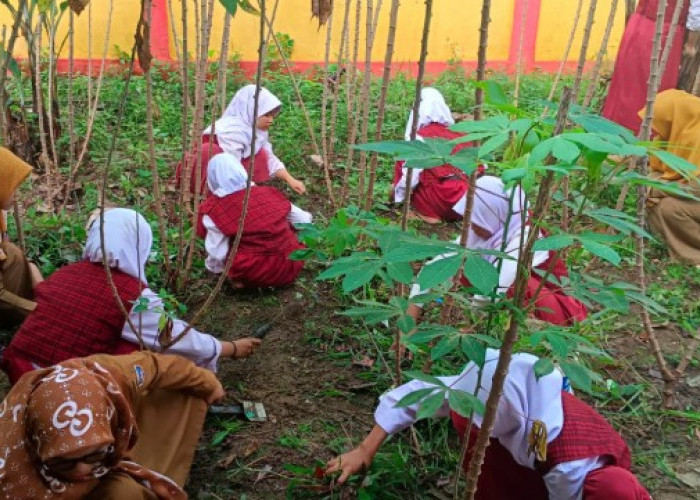 Tanamkan Kemandirian Pangan Sejak Dini, Ajarkan Siswa Bertani Lewat Kebun Sekolah