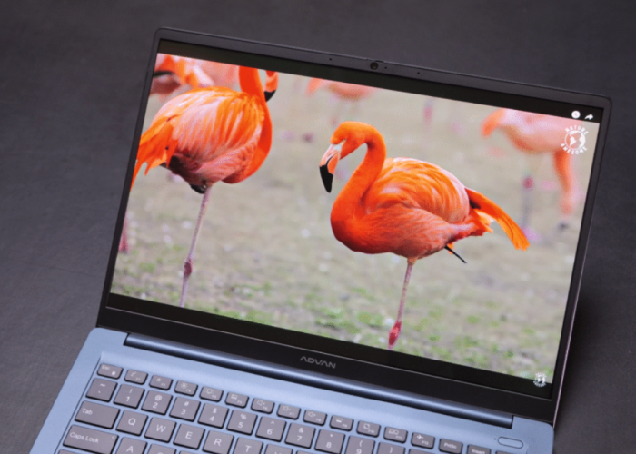 Laptop Lokal Makin Murah di 2026! Axioo, Advan, dan Zyrex Ternyata Segahar Ini