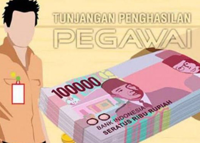 50 persen ASN OKU Sudah Nikmati TPP 