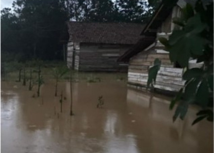 Sungai Burnai Meluap, Warga Terpaksa Mengungsi