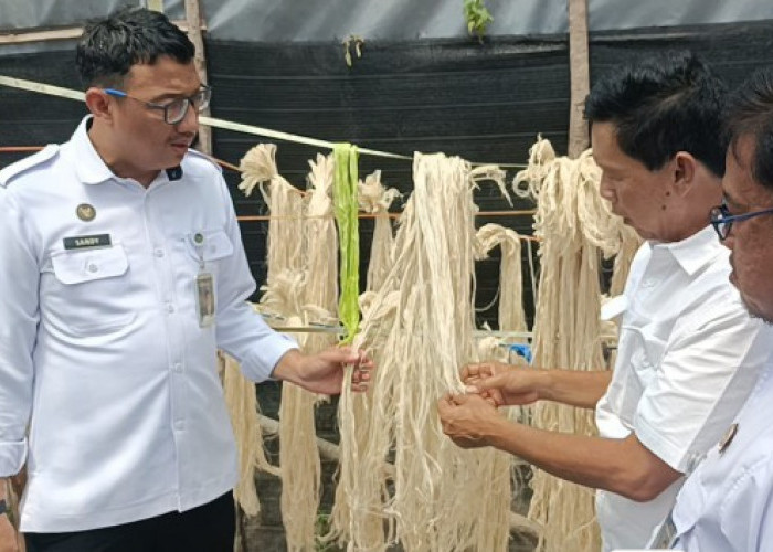 Warga Binaan Rutan Prabumulih Hasilkan Produk Bernilai Tinggi dari Serat Nanas