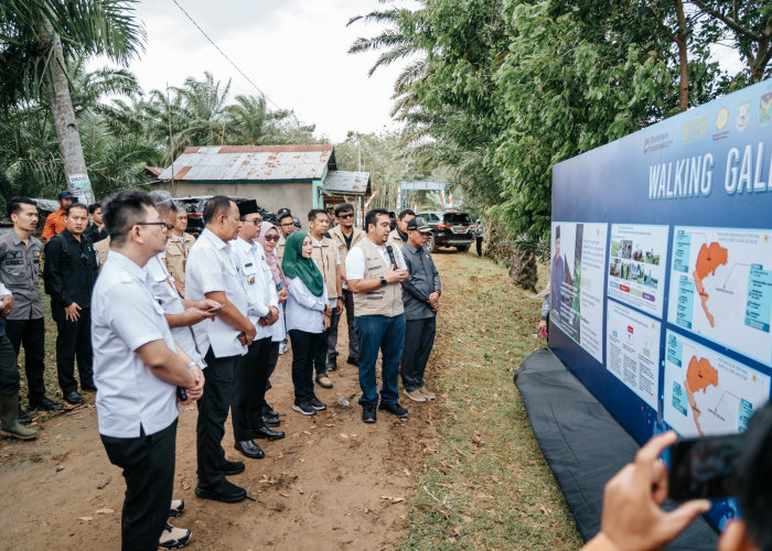 PLN Dorong Ketahanan Pangan Lewat Electrifying Agriculture di Seluma, Panen Naik 3 Kali Lipat!