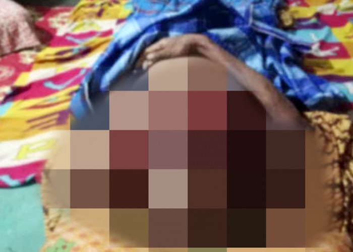 Ancaman Harimau,Warga Was-was ke Kebun