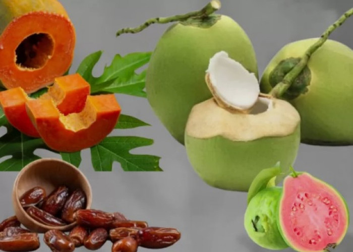 Tak Hanya Obat, Ini Daftar Makanan yang Membantu Mempercepat Pemulihan Demam Berdarah