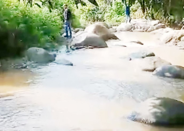 Sungai Sepanas Diduga Tercemar Limbah PT PGE