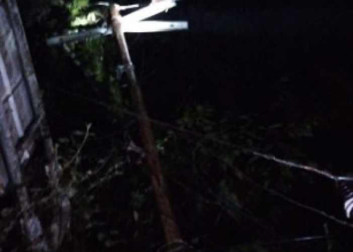 Gerak Cepat PLN Pulihkan Listrik Akibat Cuaca Ekstrem di OKU
